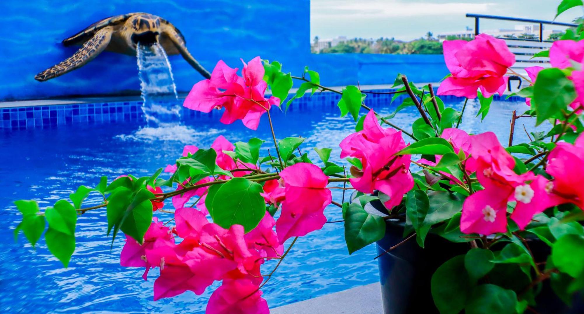 Amber House Lanka Hotel Bentota Exterior photo